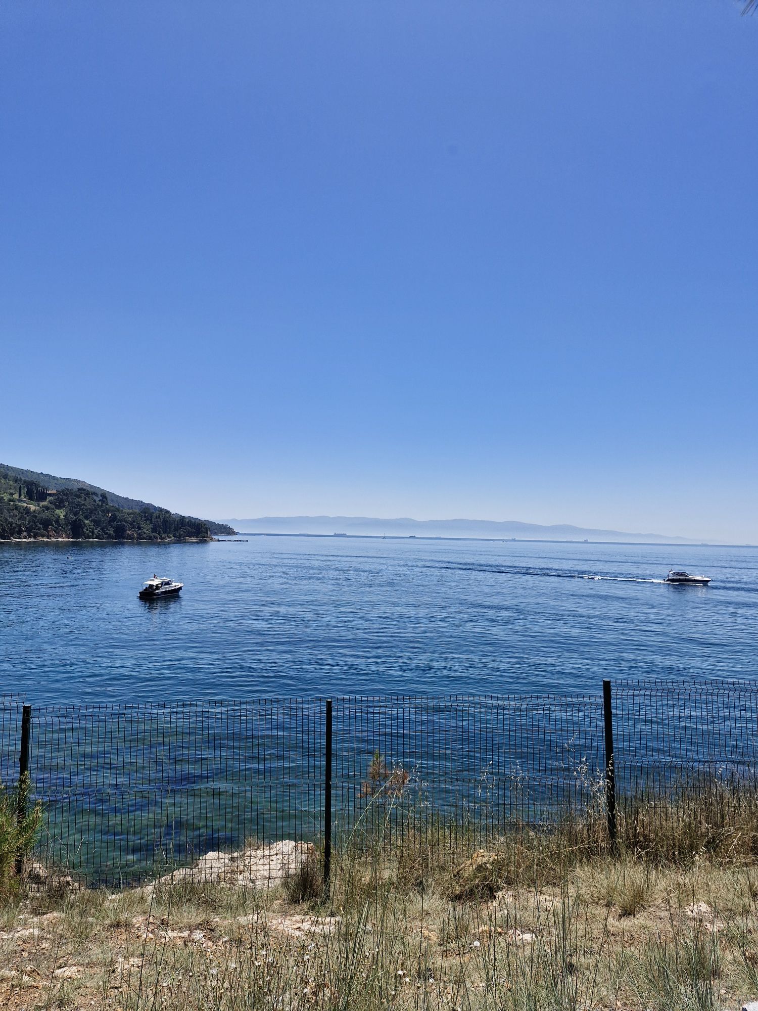 20240601_1337526820149910568033155