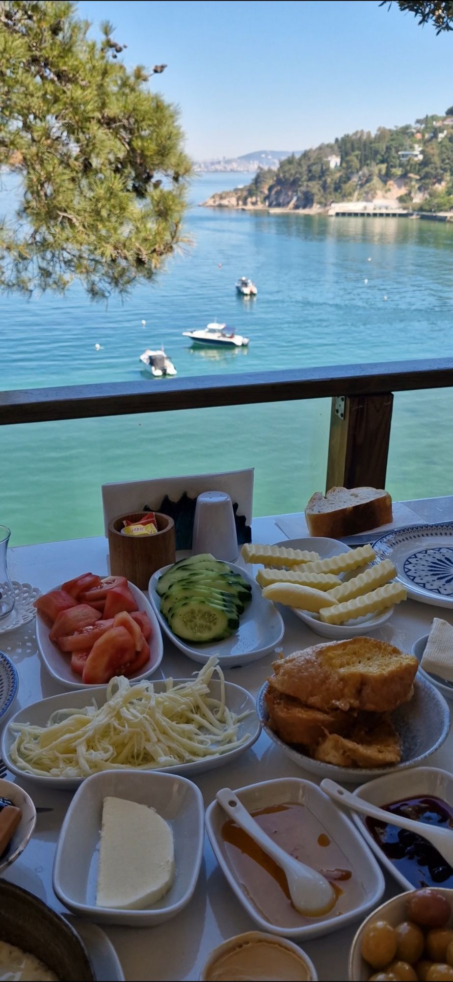 screenshot_20240612_103633_gallery2149913707777514349