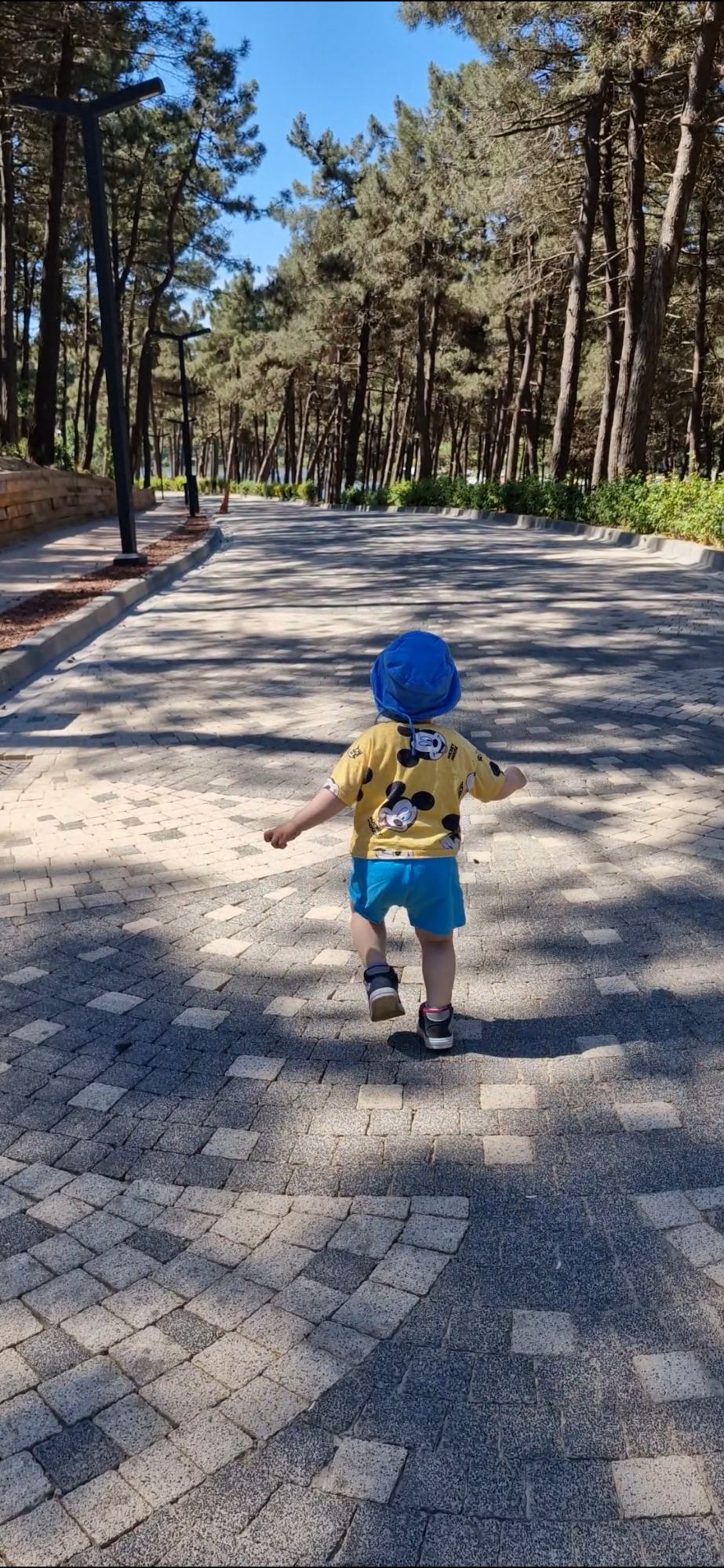 screenshot_20240625_224132_gallery2727488526830644801