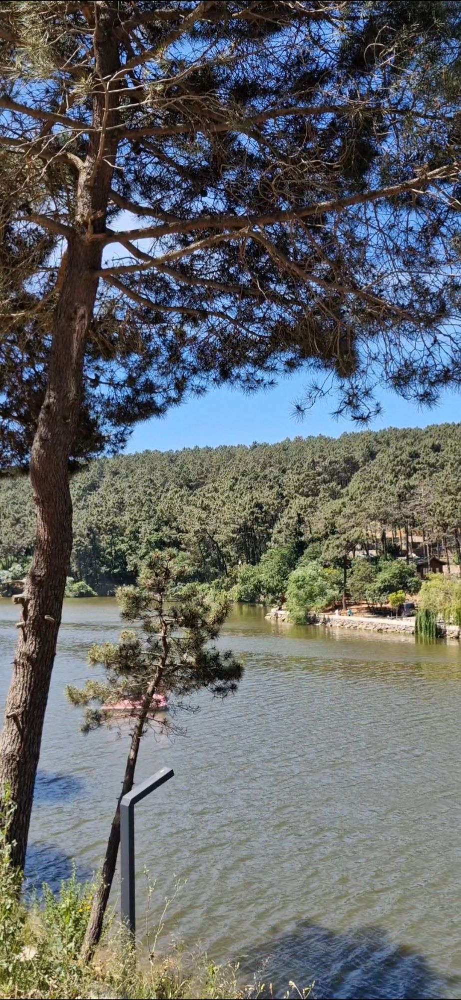 screenshot_20240625_224155_gallery8941202206656983092