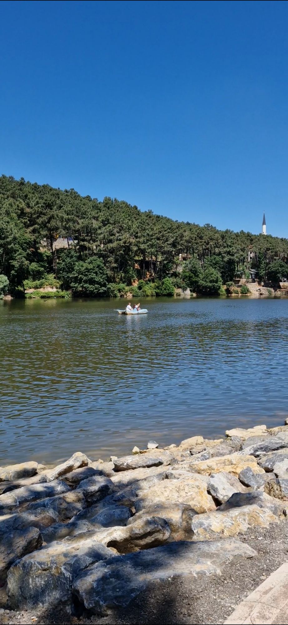 screenshot_20240625_224208_gallery3376590271873846999