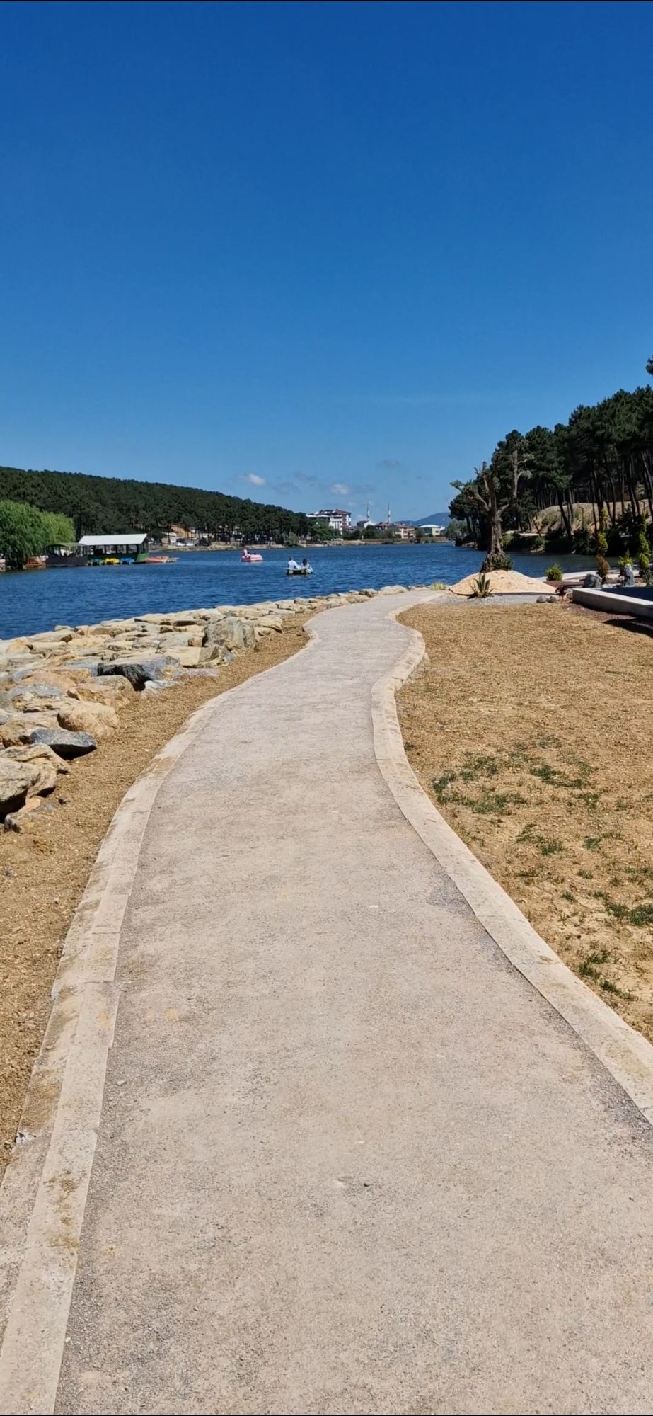 screenshot_20240625_224216_gallery1624323739242047501