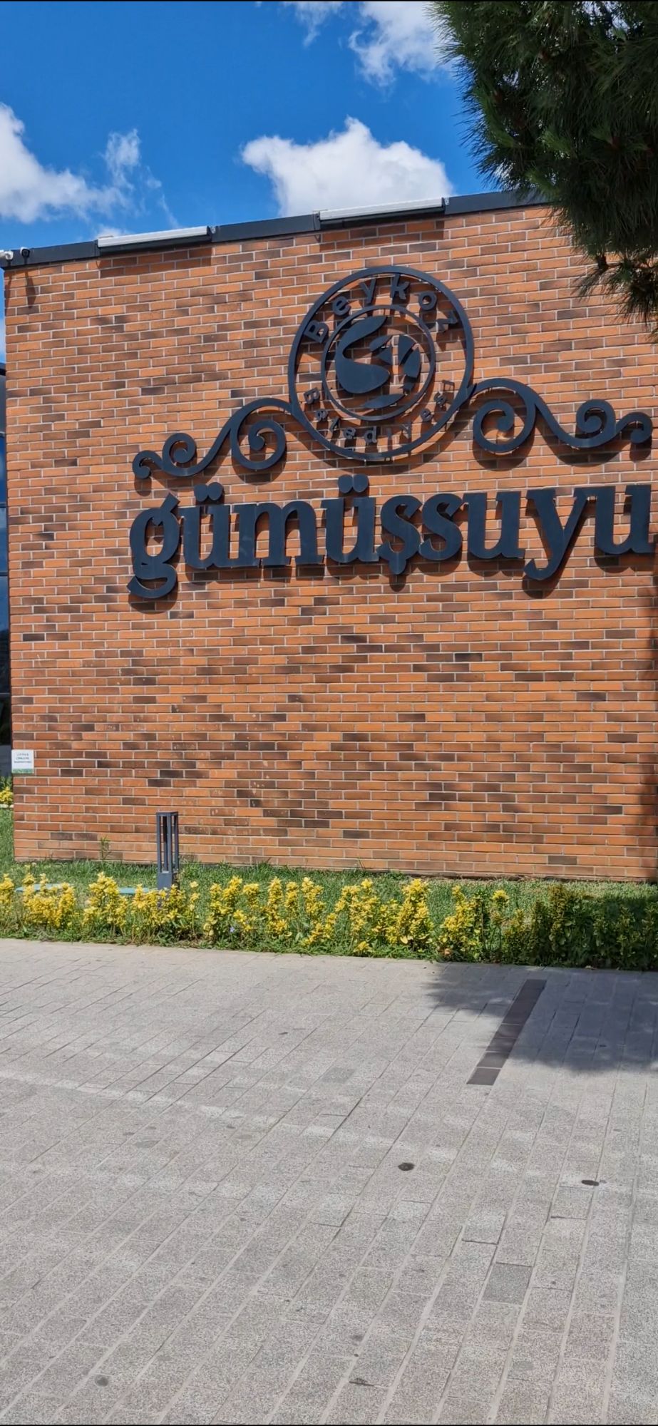 screenshot_20240809_235549_gallery1314095297738215010