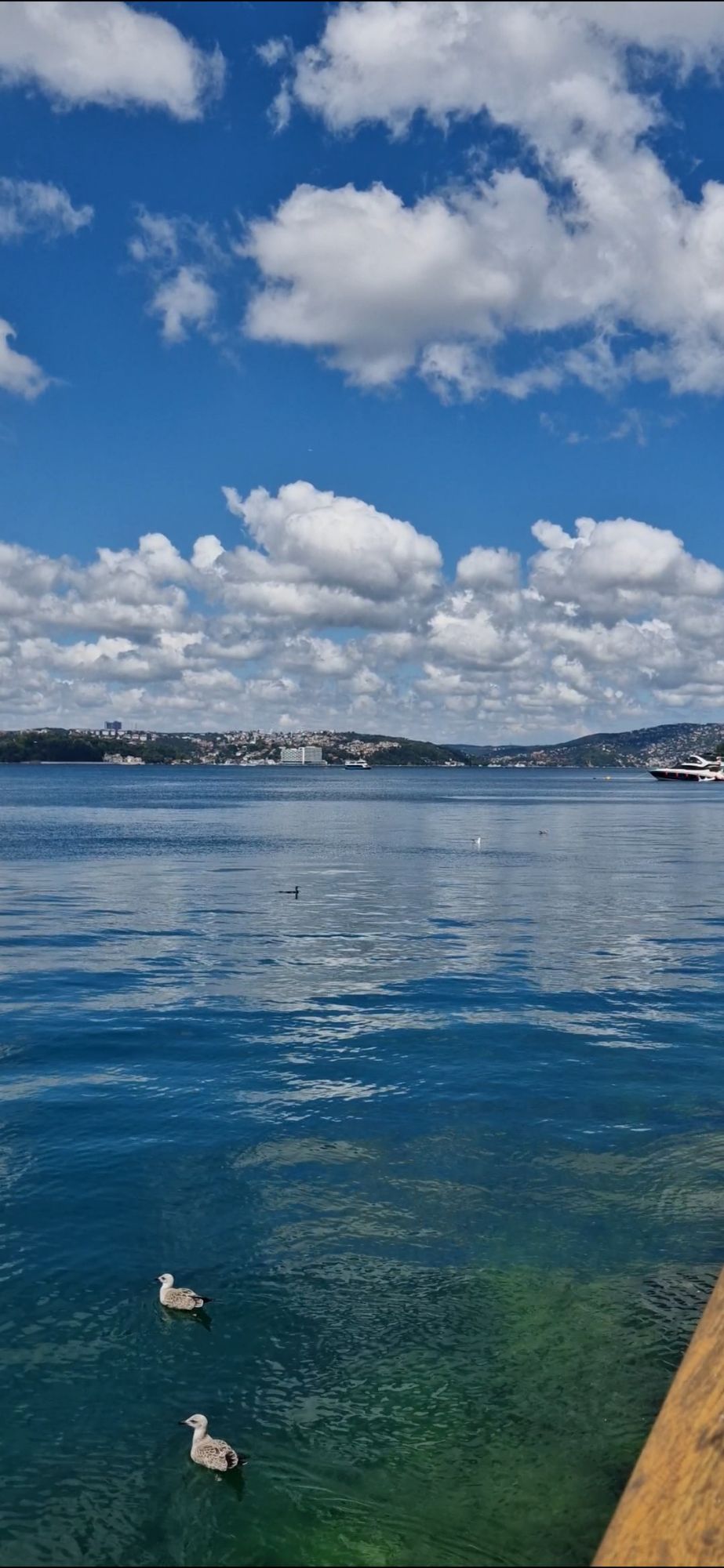 screenshot_20240809_235607_gallery5528801328580350545