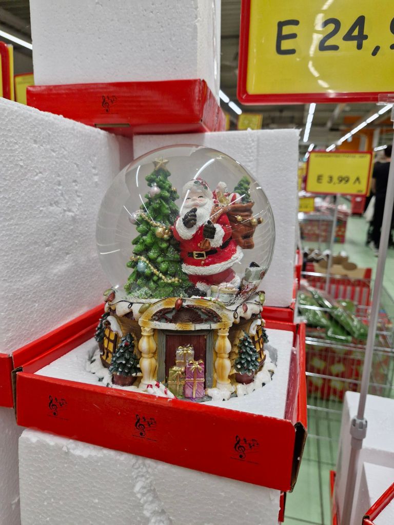 20241123_1453255446369898581273691