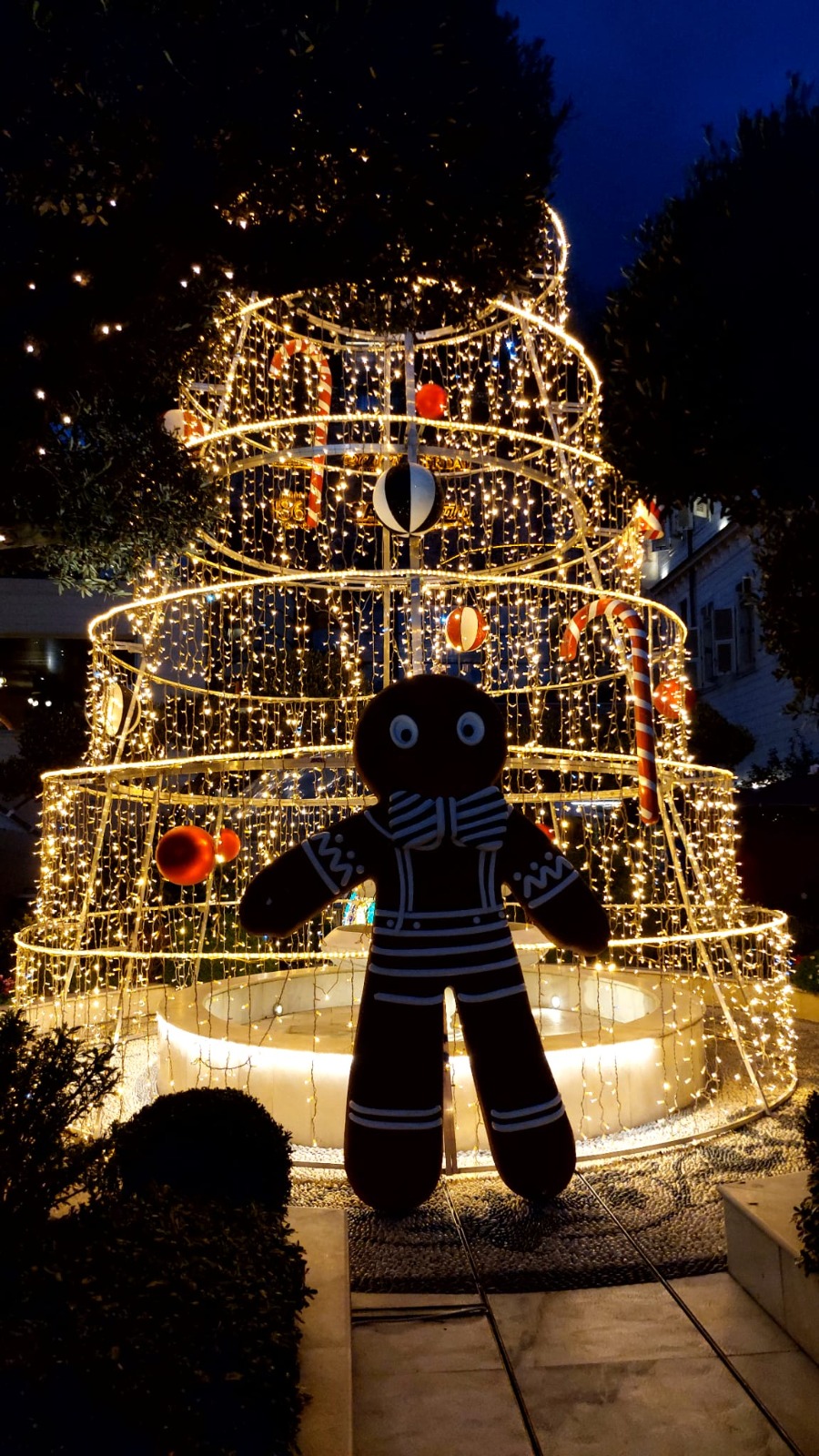 Füzyon Mutfak ve Gastronomi Deneyimi: Toro&nbsp;Restoran🍽