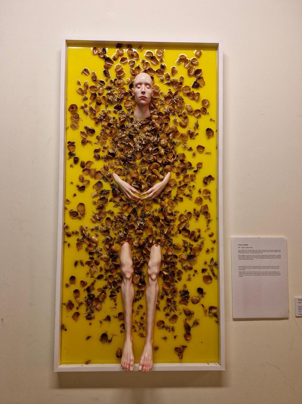 🎨 Elgiz Müzesi: Maslak’ta Bir Sanat Vahası&nbsp;🌟